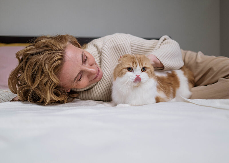 First-Time Cat Owner Tips for Beginners