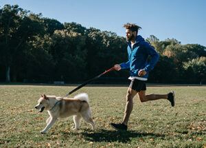 pet parent work out with dog